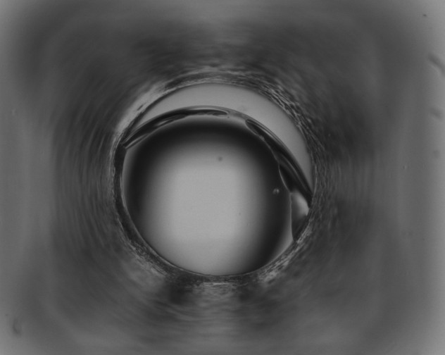 X0000092280150200709141228