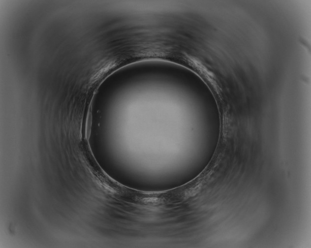 X0000092280153200709141228