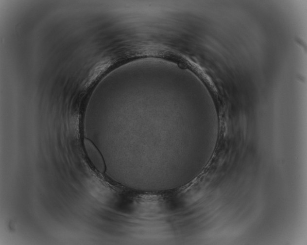 X0000092280154200709141228