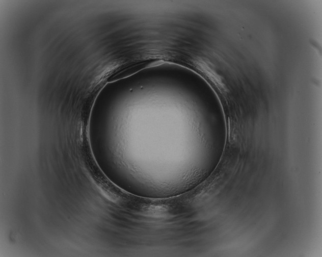 X0000092280157200709141228