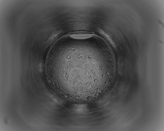 X0000092280161200709141228