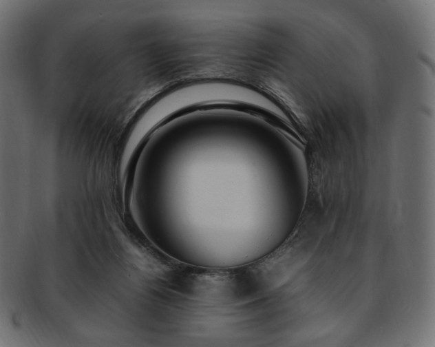 X0000092280164200709141228