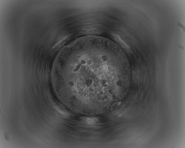 X0000092280165200709141228