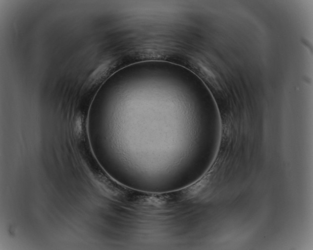 X0000092280166200709141228