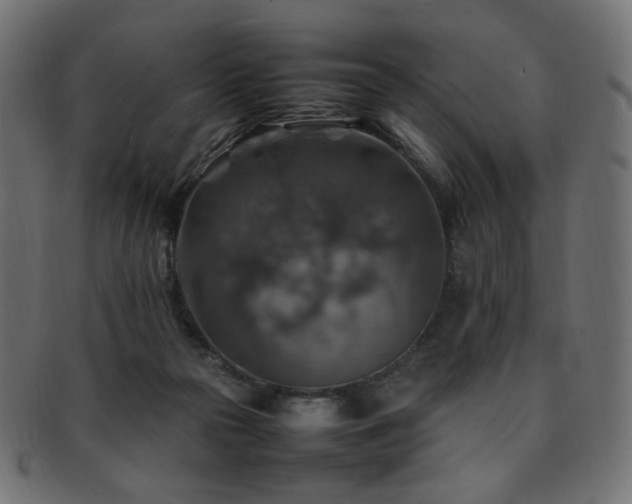 X0000092280169200709141228