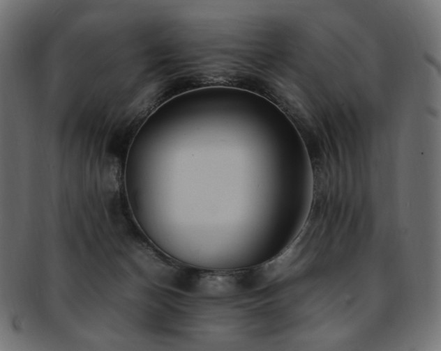 X0000092280174200709141228