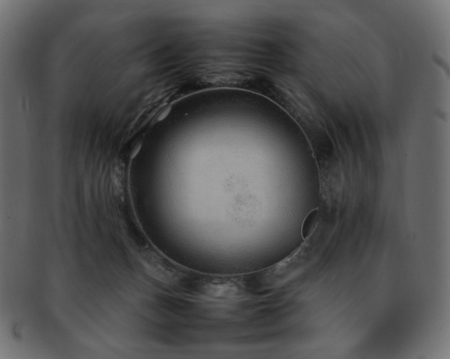 X0000092280175200709141228