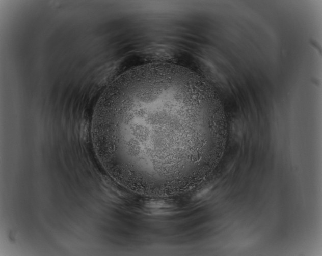 X0000092280177200709141228