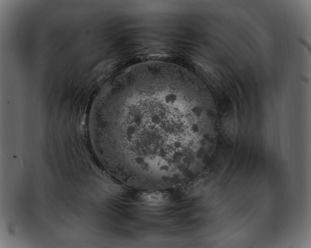 X0000092280181200709141228