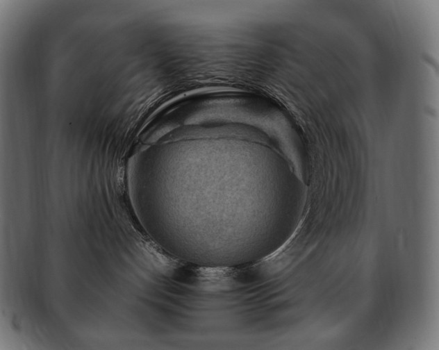 X0000092280192200709141228