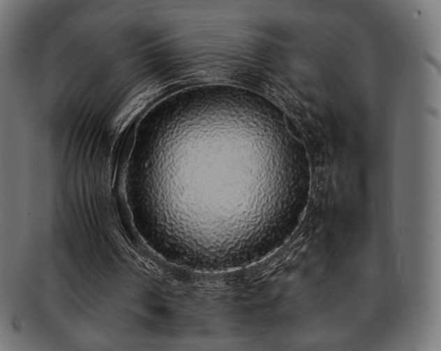 X0000092280194200709141228