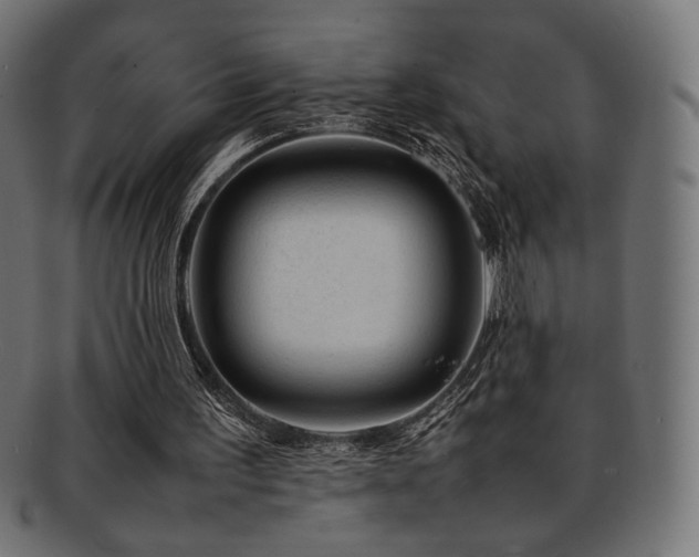 X0000092280195200709141228