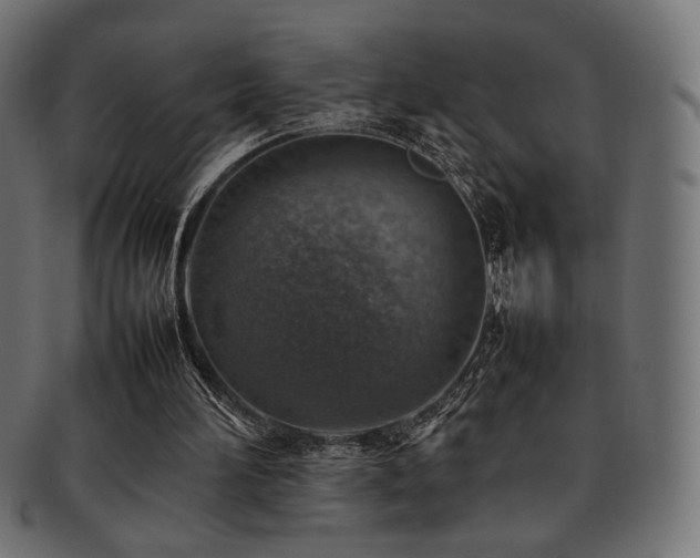 X0000092280196200709141228