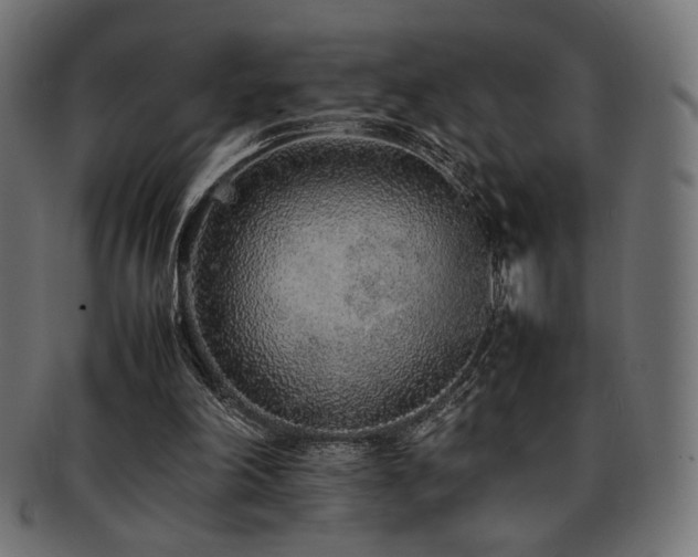 X0000092280198200709141228