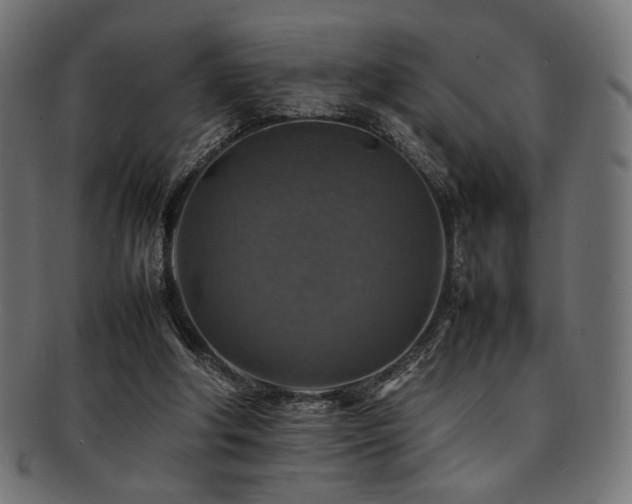 X0000092280202200709141228