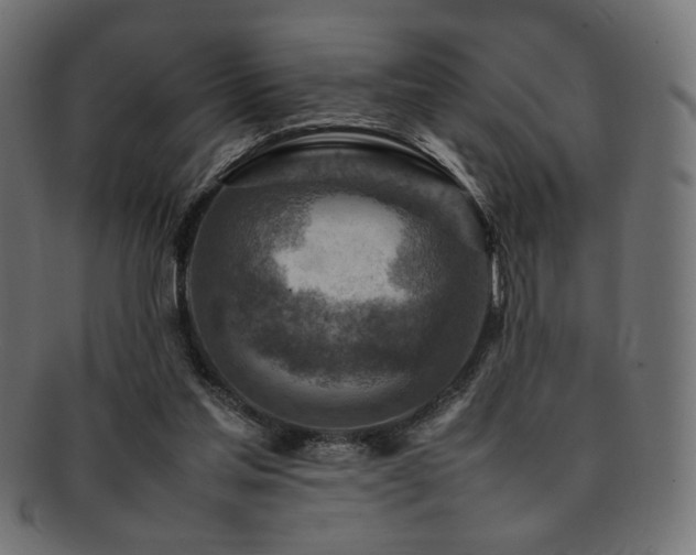 X0000092280205200709141228