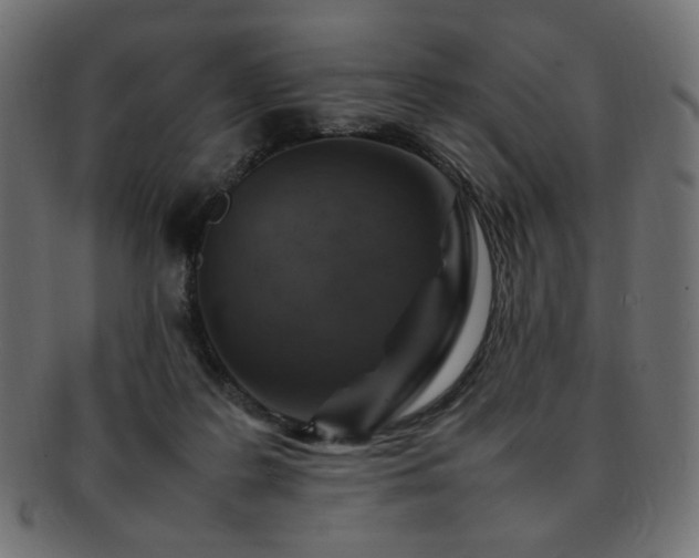 X0000092280219200709141227