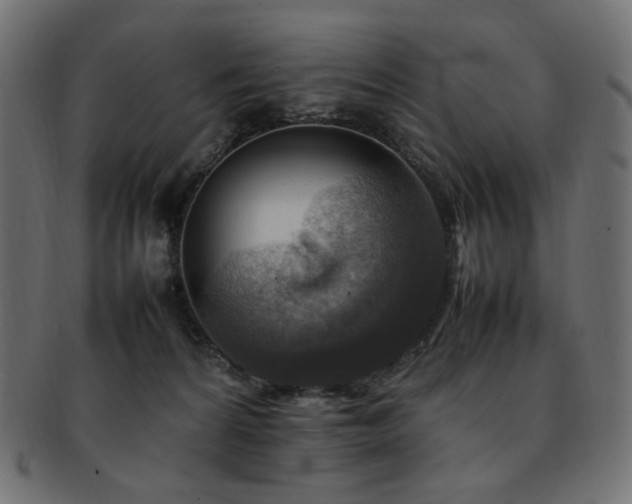 X0000092280224200709141227