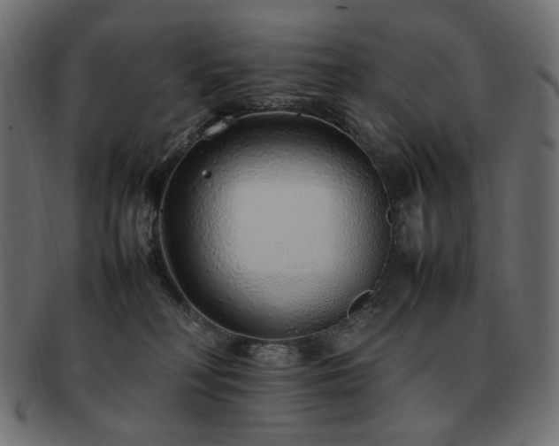 X0000092280230200709141227