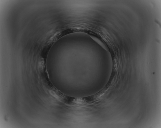 X0000092280231200709141227