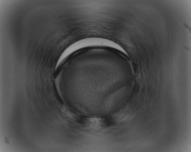 X0000092280233200709141227