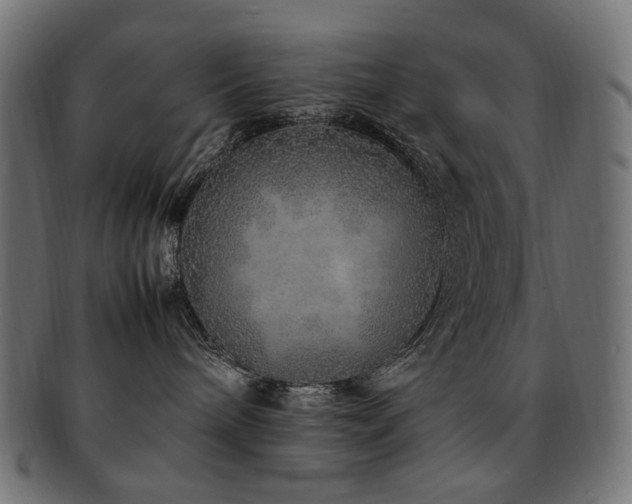 X0000092280240200709141227