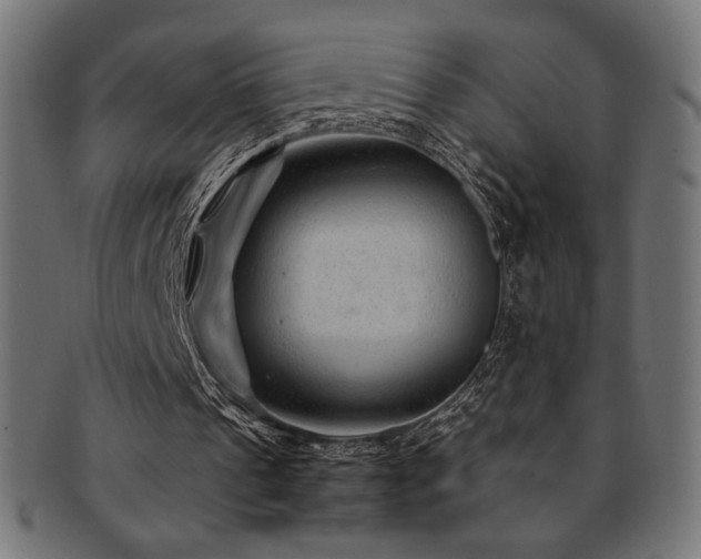 X0000092280241200709141227