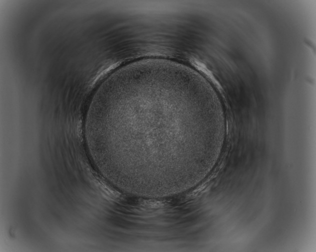 X0000092280249200709141227