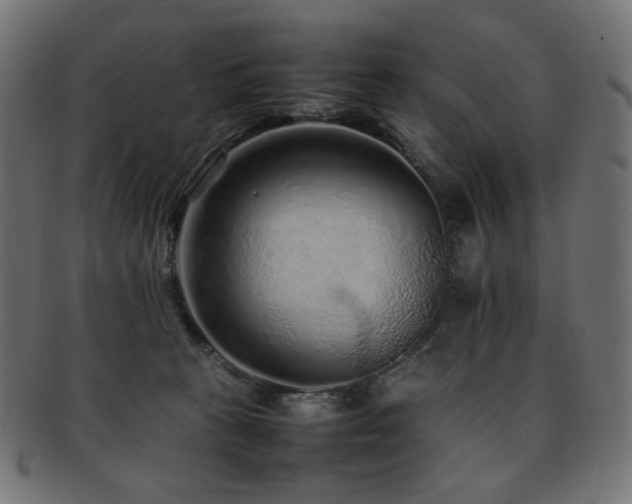 X0000092280273200709141227