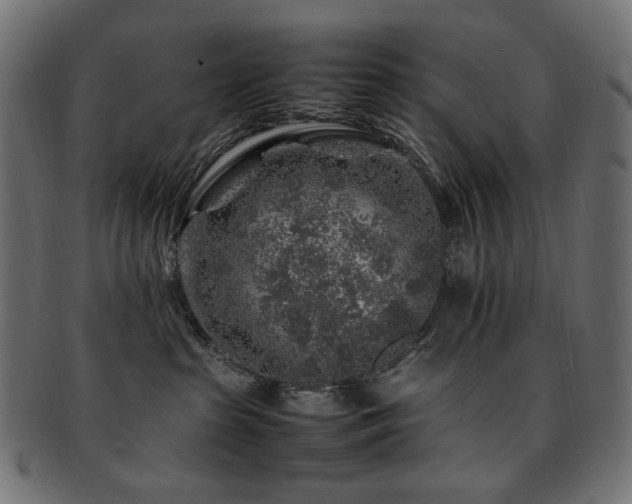 X0000092280285200709141227