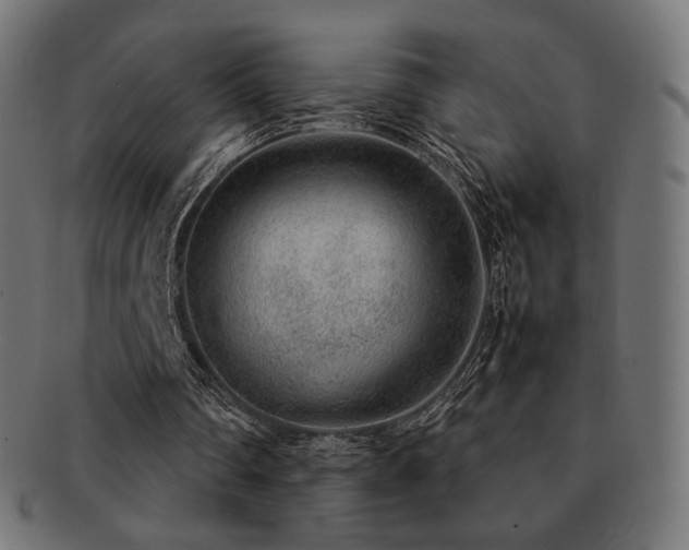 X0000092280290200709141227