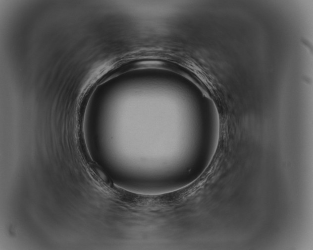 X0000092280293200709141227