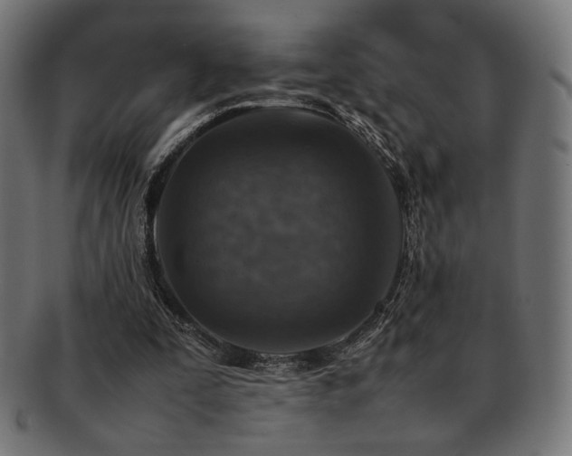 X0000092280295200709141227