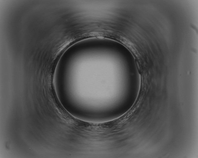 X0000092280297200709141226