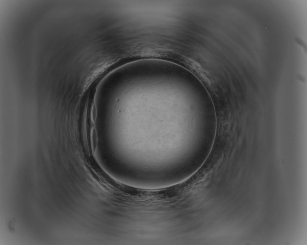 X0000092280299200709141226