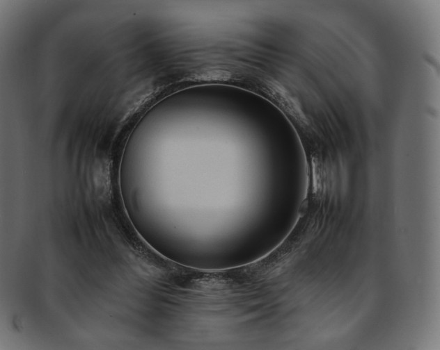 X0000092280300200709141226