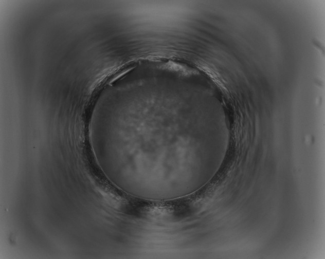 X0000092280303200709141226