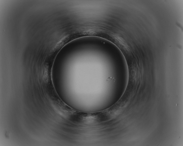 X0000092280312200709141226