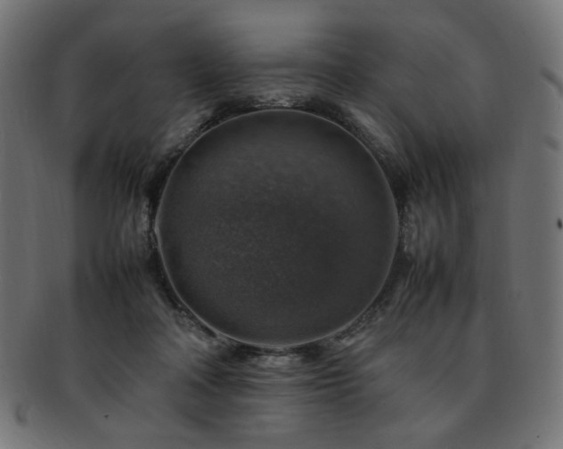 X0000092280314200709141226