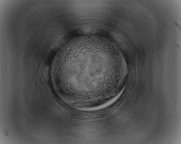 X0000092280319200709141226