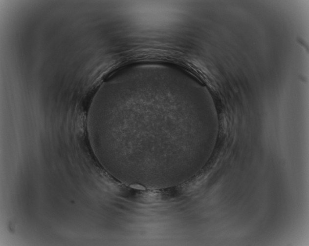 X0000092280325200709141226