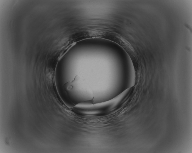 X0000092280329200709141226