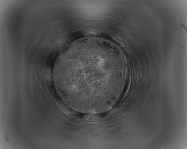 X0000092280331200709141226