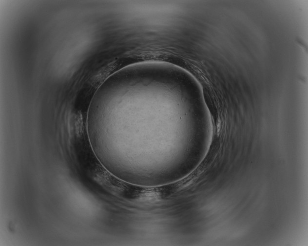 X0000092280335200709141226