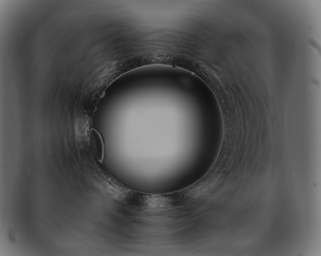 X0000092280336200709141226