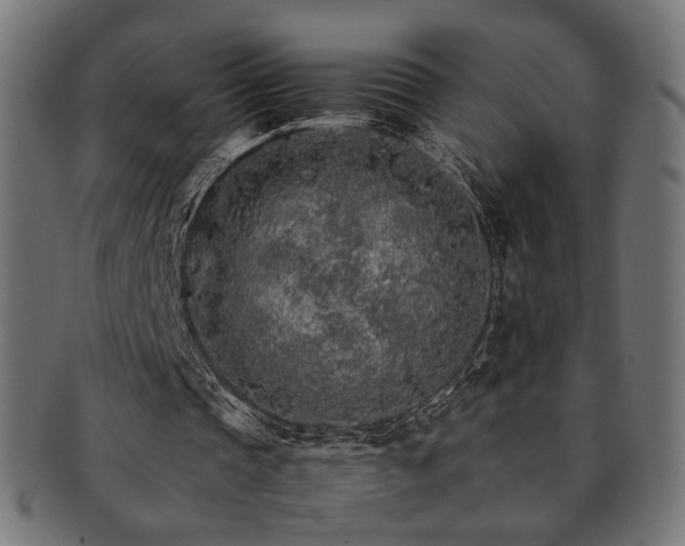 X0000092280337200709141225