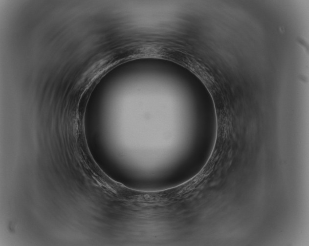 X0000092280338200709141225