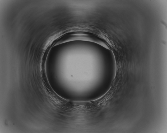 X0000092280340200709141225