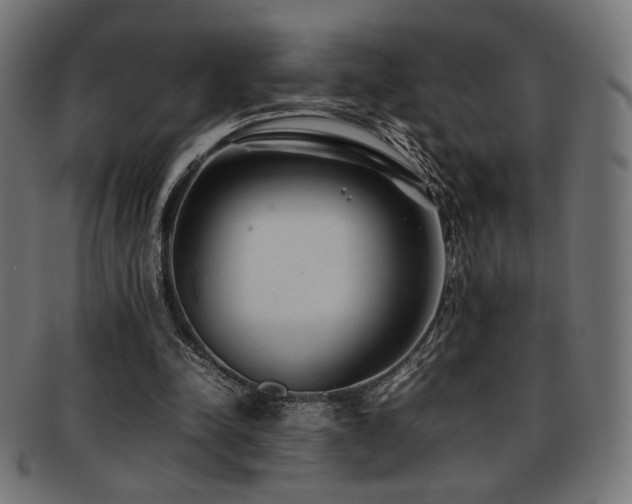 X0000092280342200709141225