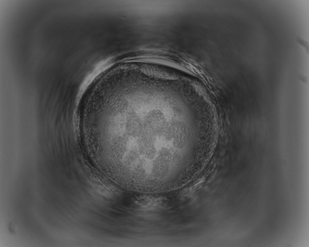 X0000092280343200709141225